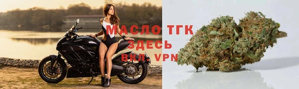 индика Богданович