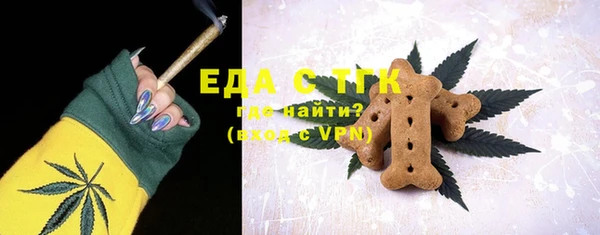 индика Богданович