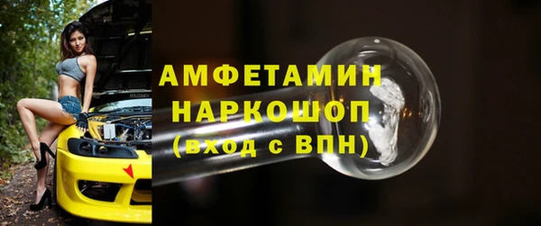 индика Богданович