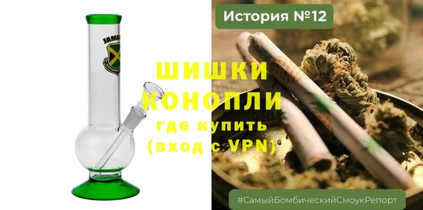 индика Богданович