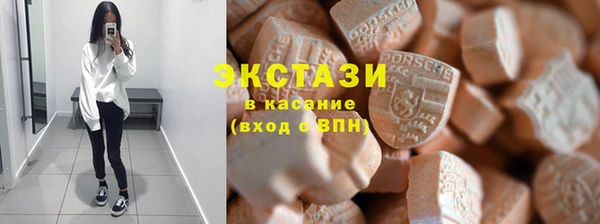 индика Богданович