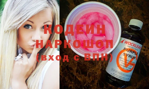 индика Богданович