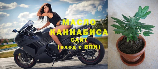 индика Богданович