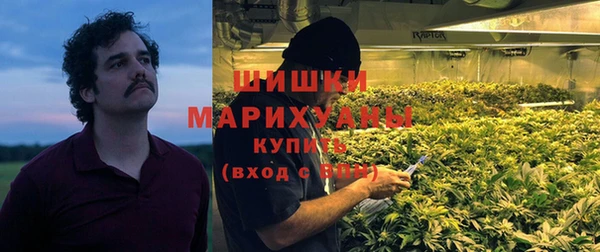 прущий лед Богородицк