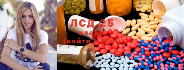 индика Богданович