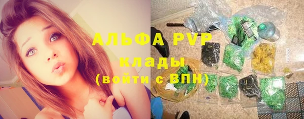 индика Богданович