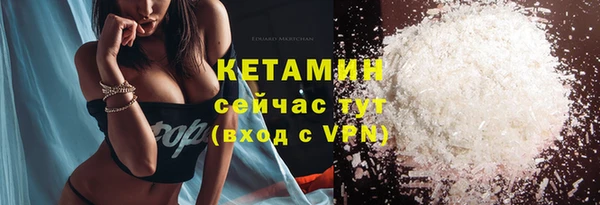 индика Богданович