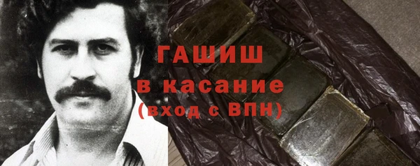 индика Богданович