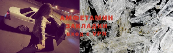индика Богданович