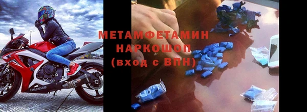индика Богданович