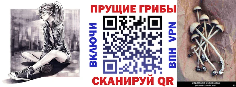 Псилоцибиновые грибы прущие грибы  кракен ТОР  Светлый 